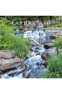 Connecticut Wild & Scenic 2021 Square