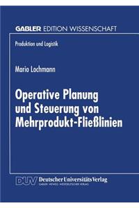 Operative Planung Und Steuerung Von Mehrprodukt-Fließlinien