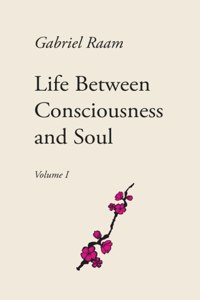 Life Between Consciousness and Soul