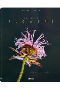 A Tribute to Flowers