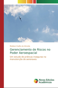 Gerenciamento de Riscos no Poder Aeroespacial