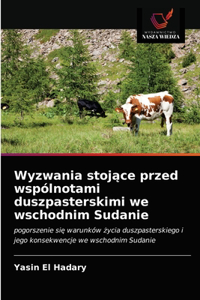 Wyzwania stojące przed wspólnotami duszpasterskimi we wschodnim Sudanie