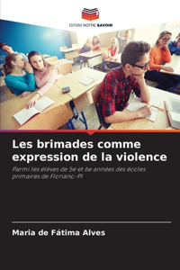 Les brimades comme expression de la violence