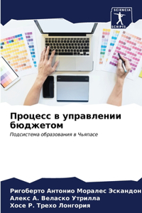 Процесс в управлении бюджетом