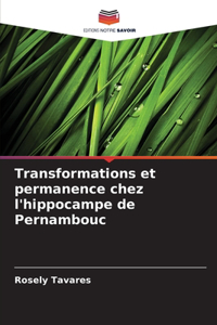 Transformations et permanence chez l'hippocampe de Pernambouc