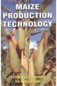 Maize Production Technology