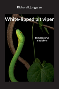 White-lipped pit viper