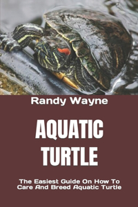 Aquatic Turtle