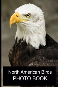 North American Birds Photo Book