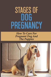 Stages Of Dog Pregnancy