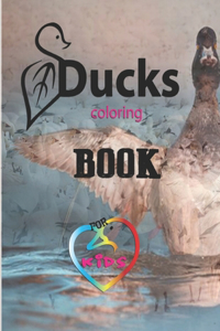 Ducks coloring book for kids
