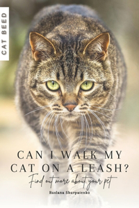 Can I walk my cat on a leash?