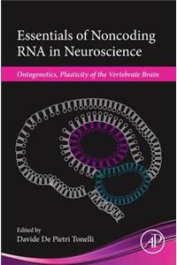 Essentials of Noncoding RNA in Neuroscience