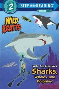 Wild Sea Creatures: Sharks, Whales and Dolphins!