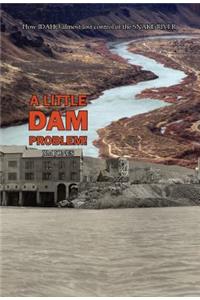Little Dam Problem