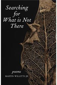 Searching for What is Not There
