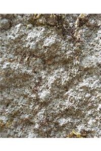 School Composition Book Textured Rock Surface Photo