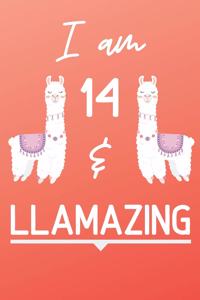 I Am 14 And Llamazing