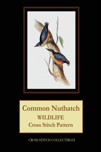 Common Nuthatch