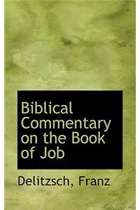 Biblical Commentary on the Book of Job