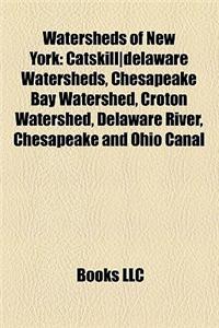 Watersheds of New York