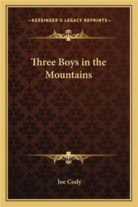 Three Boys in the Mountains