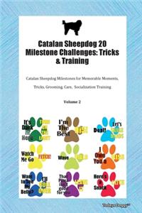 Catalan Sheepdog 20 Milestone Challenges