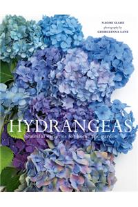 Hydrangeas