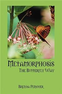 Metamorphosis