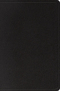 ESV Study Bible, Large Print, Indexed