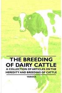 Breeding of Dairy Cattle - A Collection of Articles on the Heredity and Breeding of Cattle