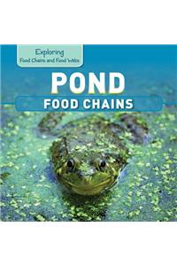 Pond Food Chains