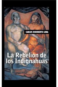 rebelion de los indignahuas