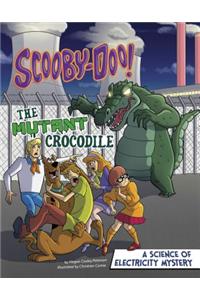 Scooby-Doo! a Science of Electricity Mystery