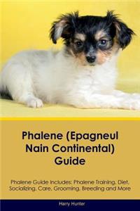 Phalene (Epagneul Nain Continental) Guide Phalene Guide Includes: Phalene Training, Diet, Socializing, Care, Grooming, Breeding and More