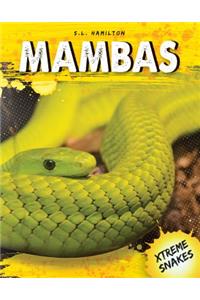 Mambas