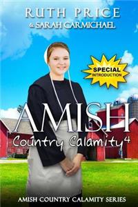 Amish Country Calamity 4