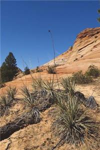 Utah Desert Journal