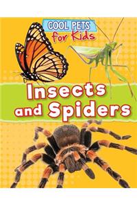 Insects and Spiders