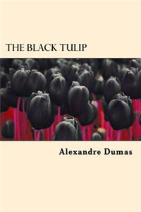 Black Tulip