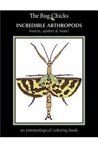 Incredible Arthropods