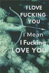 I Love Fucking You I Mean I Fucking Love You