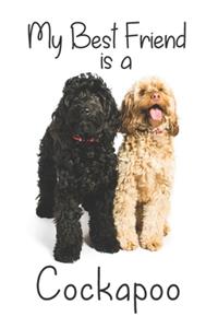 My best Friend is a Cockapoo