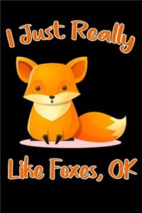 I Just Really Like Foxes Ok notebook gift