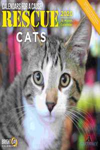 RESCUE CATS WALL CALENDAR 2020