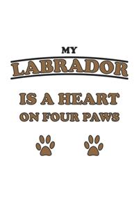 My Labrador is a heart on four paws