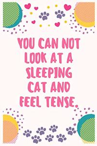You can not look at a sleeping cat and feel tense