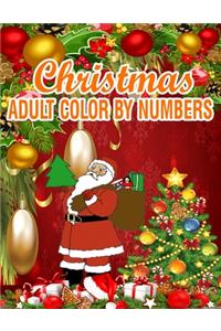Christmas Adult Color By Numbers