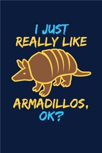 I Just Really Like Armadillos, Ok?