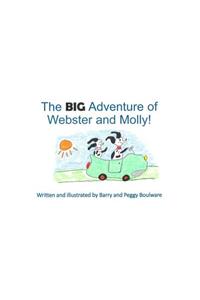 BIG Adventure of Webster and Molly!